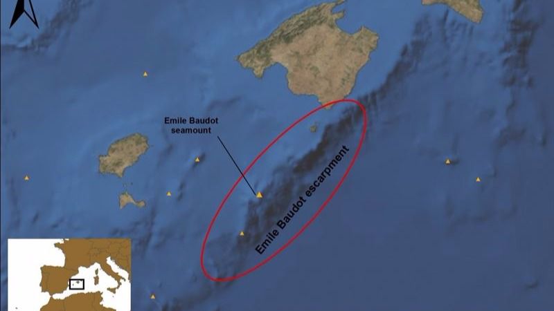 Oceana explica en el mapa la zona de ampliación